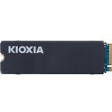 Kioxia Exceria con dissipatore di calore 1 TB, Disco a stato solido 