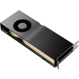 PNY NVIDIA RTX 5000 Ada Generation 32GB PB, Scheda grafica 