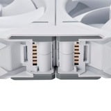Phanteks D30-120 PWM Regular, Ventola bianco