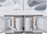 Phanteks PH-F120D30_DRGB_PWM_WT01_3P, Ventola bianco