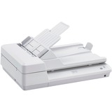 Ricoh SP-1425 Scanner a piano e ADF 600 x 600 DPI A4 Bianco, Scanner piano grigio chiaro, 216 x 3048 mm, 600 x 600 DPI, 1200 x 1200 DPI, 24 bit, 8 bit, 1 bit