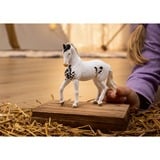 Schleich HORSE CLUB 14898 action figure giocattolo, Gioco figura 5 anno/i, Multicolore