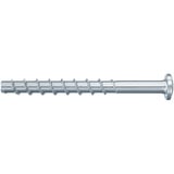 fischer Vite per calcestruzzo FBS 5x40 /5 testa piana TX 