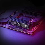 ADATA AX5U6000C3624G-DTLABBK, Memoria Nero