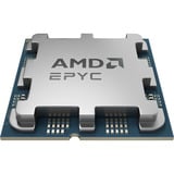 AMD 100-000001561, Processore Vassoio