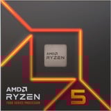AMD Ryzen™ 5 7600X, Processore boxed