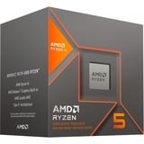 AMD Ryzen™ 5 8600G, Processore boxed