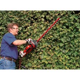 EINHELL GC-EH 6055/1 Lama singola 600 W 3,47 kg rosso/Nero, AC, 600 W, 220 - 240 V, 50 Hz, 3,47 kg, 190 mm