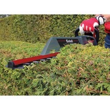EINHELL GC-EH 6055/1 Lama singola 600 W 3,47 kg rosso/Nero, AC, 600 W, 220 - 240 V, 50 Hz, 3,47 kg, 190 mm