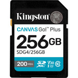 Kingston SDG4/256GB Nero