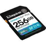 Kingston SDG4/256GB Nero