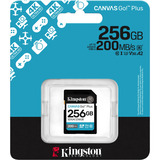 Kingston SDG4/256GB Nero