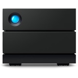 LaCie 2big RAID 36 TB, Hard-disk Nero