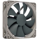 Noctua NA-FK1 redux 120x120x25, Ventola grigio