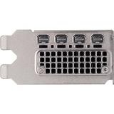 PNY VCNRTXA200012GB-PB, Scheda grafica 