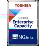 Toshiba MG10AFA22TE 