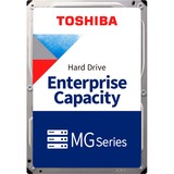 Toshiba MG10 22 TB, Hard-disk 