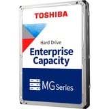 Toshiba MG10 22 TB, Hard-disk 