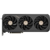 ZOTAC ZT-B50900J-10P, Scheda grafica 
