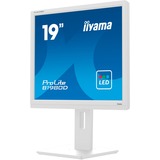 iiyama B1980D-W5 bianco