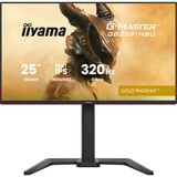 iiyama GB2591HSU-B1, Monitor di gioco Nero (opaco)