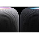 Apple HomePod (Mezzanotte), Altoparlante Nero (opaco)
