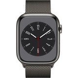 Apple Smartwatch grafite