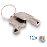 DeLOCK Cornice sostituibile Slim Bay per 2 x 2,5″ U.2 NVMe SSD, Disk enclosure 