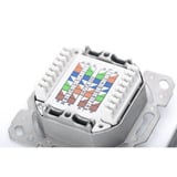 Digitus Presa dati CAT.6A, da parete, schermata, 2x RJ-45 LSA, Scatola di giunzione bianco