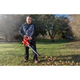 EINHELL Aspiratore/Soffiatore per foglie GC-EL 3000 E, Soffiafoglie / Soffiante rosso/Nero