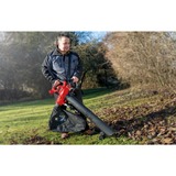 EINHELL Aspiratore/Soffiatore per foglie GC-EL 3000 E, Soffiafoglie / Soffiante rosso/Nero