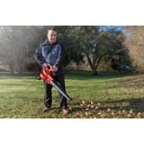 EINHELL GC-EL 3000 E, Soffiafoglie / Soffiante rosso/Nero
