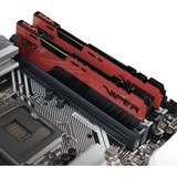 Patriot Viper Elite PVE2432G320C8K memoria 32 GB 2 x 16 GB DDR4 3200 MHz rosso/Nero, 32 GB, 2 x 16 GB, DDR4, 3200 MHz, 288-pin DIMM, Nero, Rosso