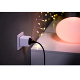 Philips Hue 929003050602, Presa commutata bianco