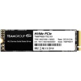 Team Group TM8FP6001T0C101, Disco a stato solido 