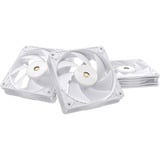 ASUS ProArt PF120, Ventola bianco