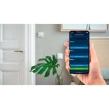 Bosch Room thermostat II termostato ZigBee Bianco Room, ZigBee, 2483,5 MHz, Bosch, Bianco, IP21