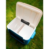 Coleman 2000036081, Scatola cool blu/Bianco