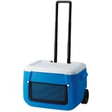 Coleman Frigorifero a rete Poly-lite con ruote 50QT, Scatola cool blu/Bianco
