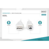 Digitus Cavo di collegamento USB 2.0 USB-A (spina) > USB-B (spina) beige