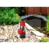 EINHELL Pompa per acque sporche GC-DP 5010 G, Pompe immersione e pressione rosso/in acciaio inox