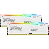 Kingston FURY KF556C36BWEAK2-64, Memoria bianco
