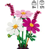 LEGO Botanicals Kosmeen, Giochi di costruzione 