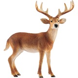 Schleich WILD LIFE Cervo virginiano, Gioco figura 3 anno/i, Forest, Wild animals / adventure toys, Multicolore, Plastica, 1 pz