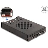 DeLOCK 47117, Inquadramento 