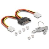 DeLOCK 47117, Inquadramento 