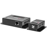 Lindy 42681, Estensione USB Nero