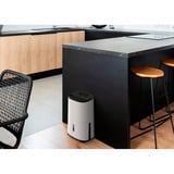 Meaco Dry Arete One 12L Deumidificatore a compressore e purificatore d'aria bianco/Nero