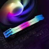 Patriot PVXR532G80C38K, Memoria Nero