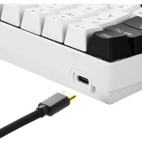 Sharkoon SGK50 S4 tastiera USB QWERTY Spagnolo Bianco bianco/Nero, 60%, USB, QWERTY, LED RGB, Bianco